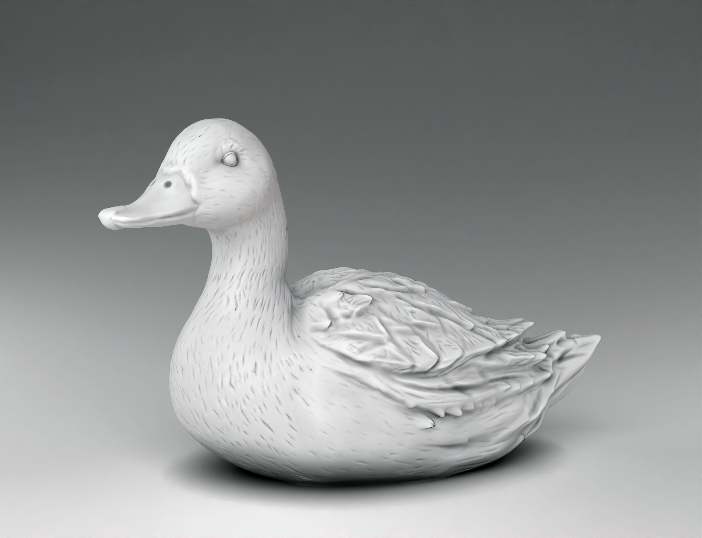 Farm Architecture, Animals - Duck (Digital File)