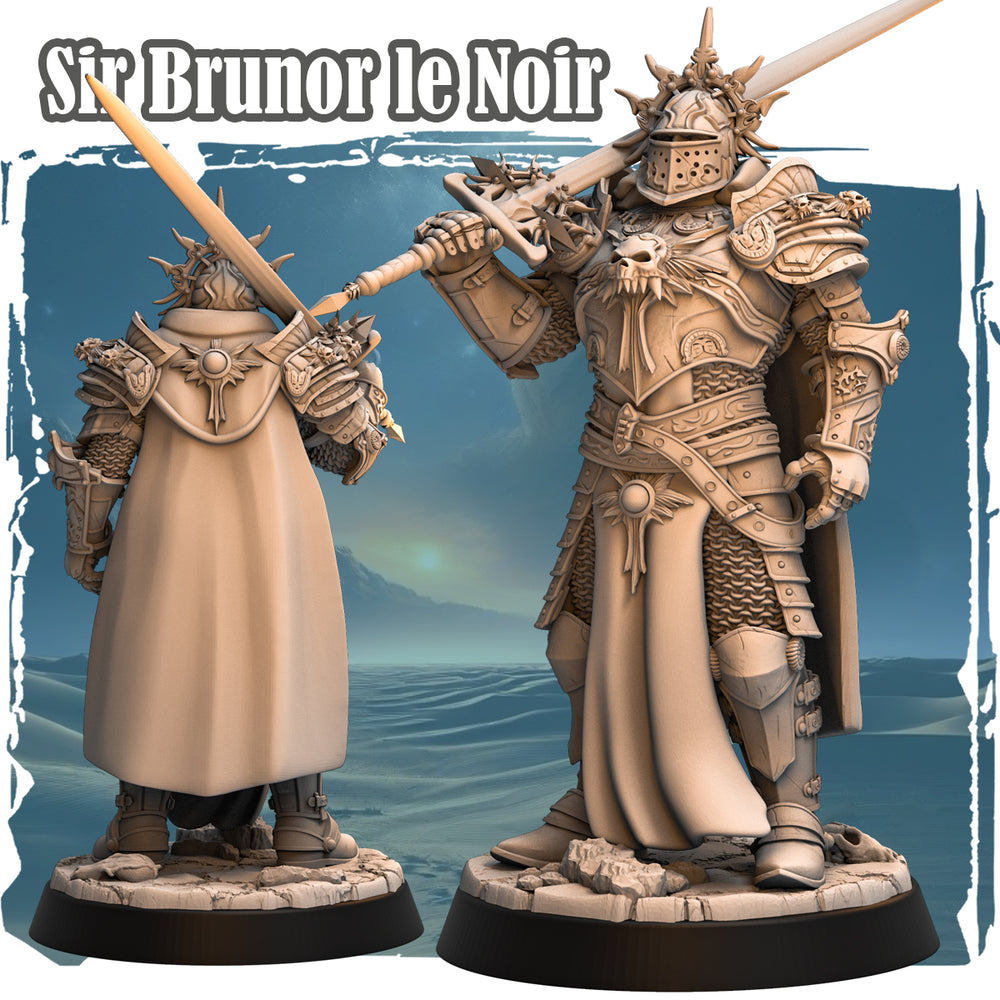 Sir Brunor Le Noir